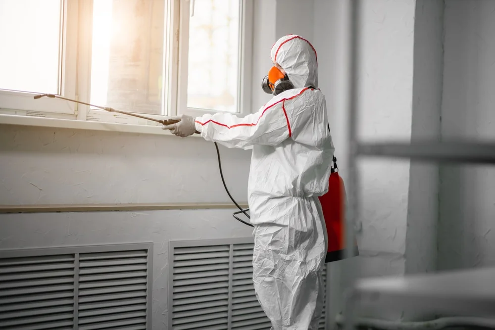 Professional mold remediation services in Douglas, MI